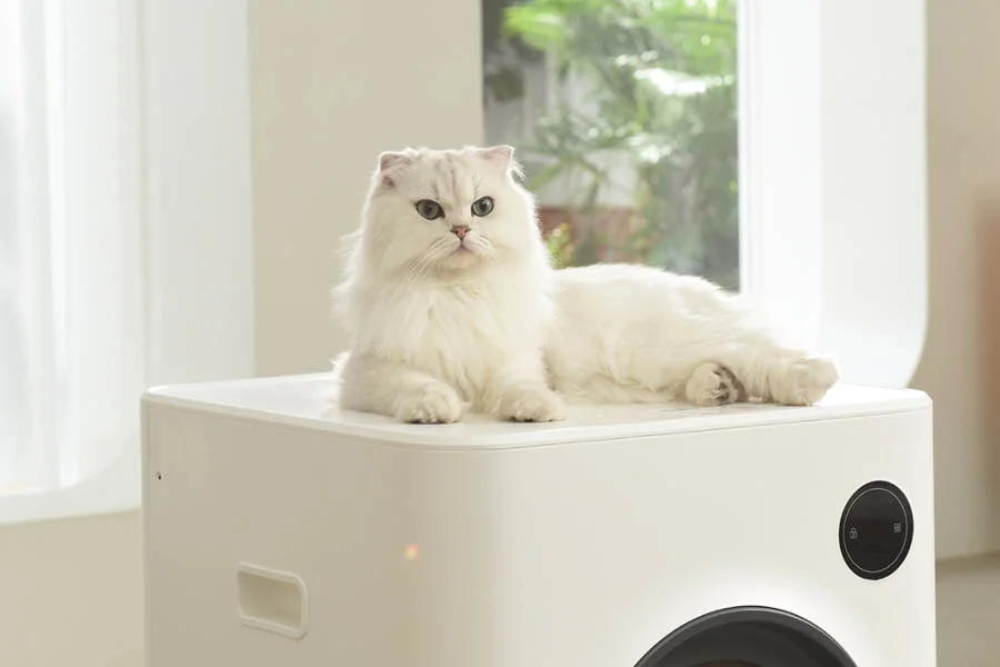 the best cat litter boxes